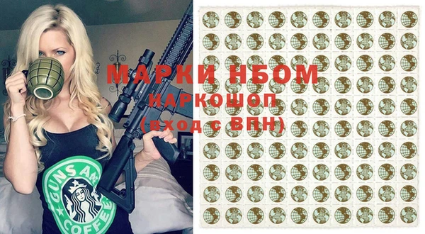 бошки Краснослободск
