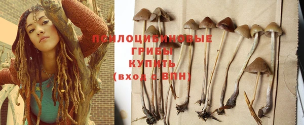 бошки Краснослободск