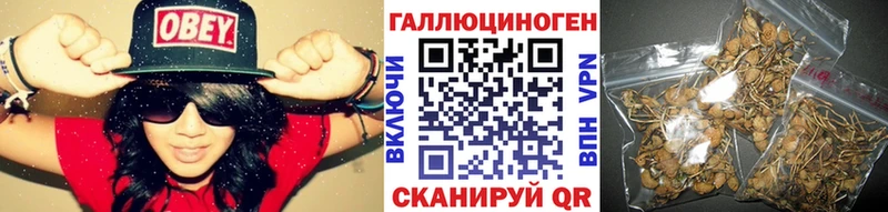 кракен как войти  Дмитровск  Галлюциногенные грибы MAGIC MUSHROOMS 
